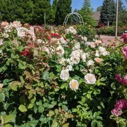 Ogden Botanical Gardens - Ogden