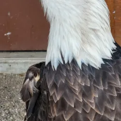 Ogden Nature Center - Ogden