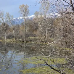 Ogden Nature Center - Ogden