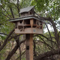 Ogden Nature Center - Ogden