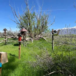 Ogden Nature Center - Ogden