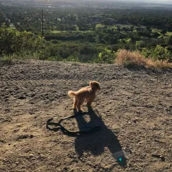 Waterfall Canyon Trail - Ogden