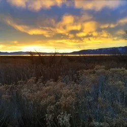 Utah Lake State Park - Orem