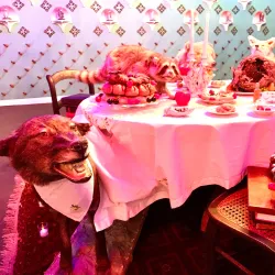 Kimball Art Center - Park City