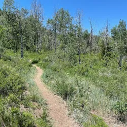 McPolin Farm Nature Trail - Park City