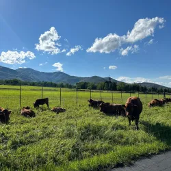 McPolin Farm Nature Trail - Park City