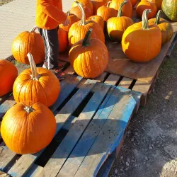 Nebeker Farm - Payson