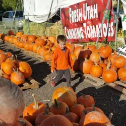 Nebeker Farm - Payson