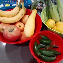 Nebeker Farm - Payson