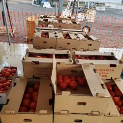 Nebeker Farm - Payson