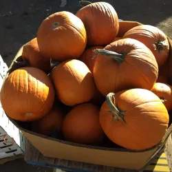 Nebeker Farm - Payson