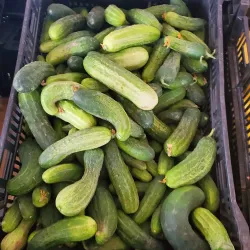 Nebeker Farm - Payson