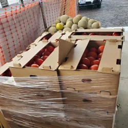 Nebeker Farm - Payson