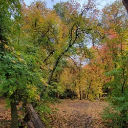 Payson Canyon - Payson