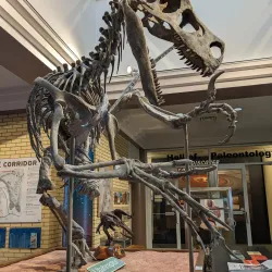 Utah State University Eastern Prehistoric Museum - Price