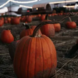 Riverton Farmers Market - Riverton