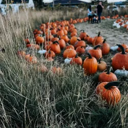 Riverton Farmers Market - Riverton