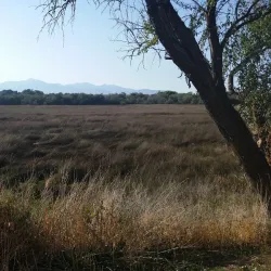 The Jordan River Parkway Trail - Riverton