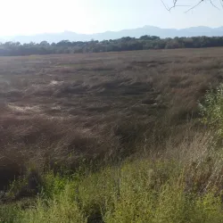 The Jordan River Parkway Trail - Riverton