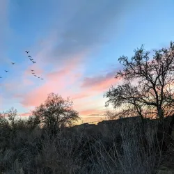 The Jordan River Parkway Trail - Riverton
