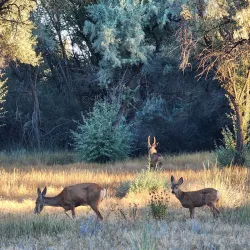 The Jordan River Parkway Trail - Riverton