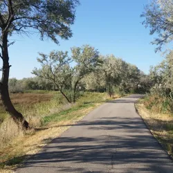 The Jordan River Parkway Trail - Riverton