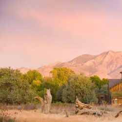 Ogden Nature Center - Roy
