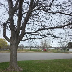 Roy Skate Park - Roy