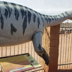 Dinosaur Discovery Site at Johnson Farm - Saint George