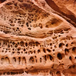 Red Cliffs Desert Reserve - Saint George