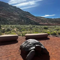 Red Cliffs Desert Reserve - Saint George