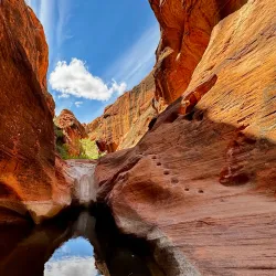 Red Cliffs Desert Reserve - Saint George