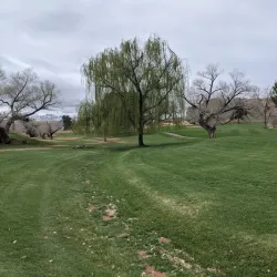 Red Cliffs Desert Reserve - Saint George