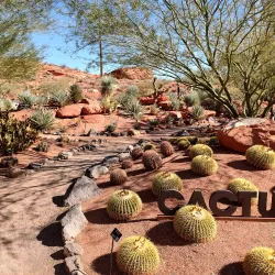 Red Hills Desert Garden - Saint George