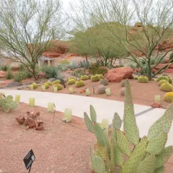 Red Hills Desert Garden - Saint George