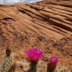 Snow Canyon State Park - Saint George