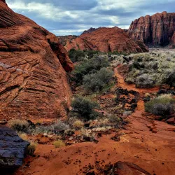 Snow Canyon State Park - Saint George