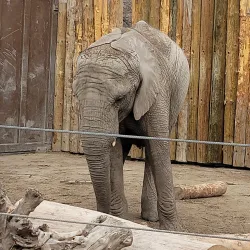 Hogle Zoo - Salt Lake City