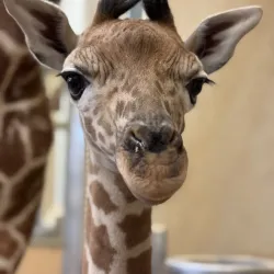 Hogle Zoo - Salt Lake City