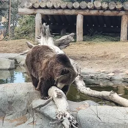 Hogle Zoo - Salt Lake City