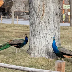 Hogle Zoo - Salt Lake City