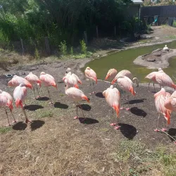 Liberty Park - Salt Lake City