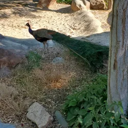 Liberty Park - Salt Lake City