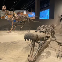 Natural History Museum of Utah - Salt Lake City