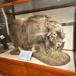 Natural History Museum of Utah - Salt Lake City
