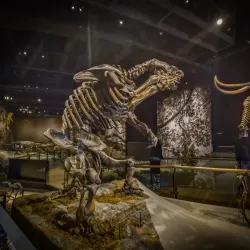 Natural History Museum of Utah - Salt Lake City