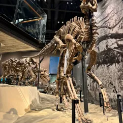 Natural History Museum of Utah - Salt Lake City