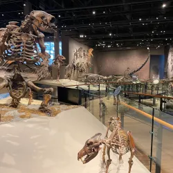 Natural History Museum of Utah - Salt Lake City