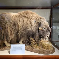 Natural History Museum of Utah - Salt Lake City