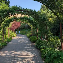 Red Butte Garden and Arboretum - Salt Lake City